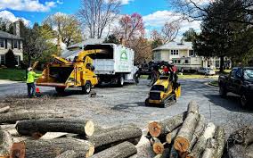 Best Stump Grinding and Removal  in Ly Lake, IL